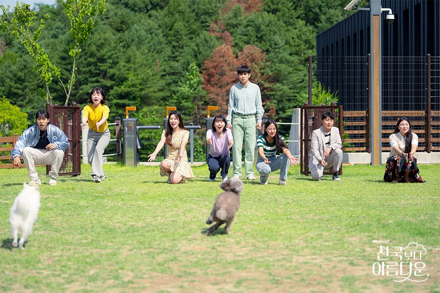 飼い犬と天国で再会する飼い主