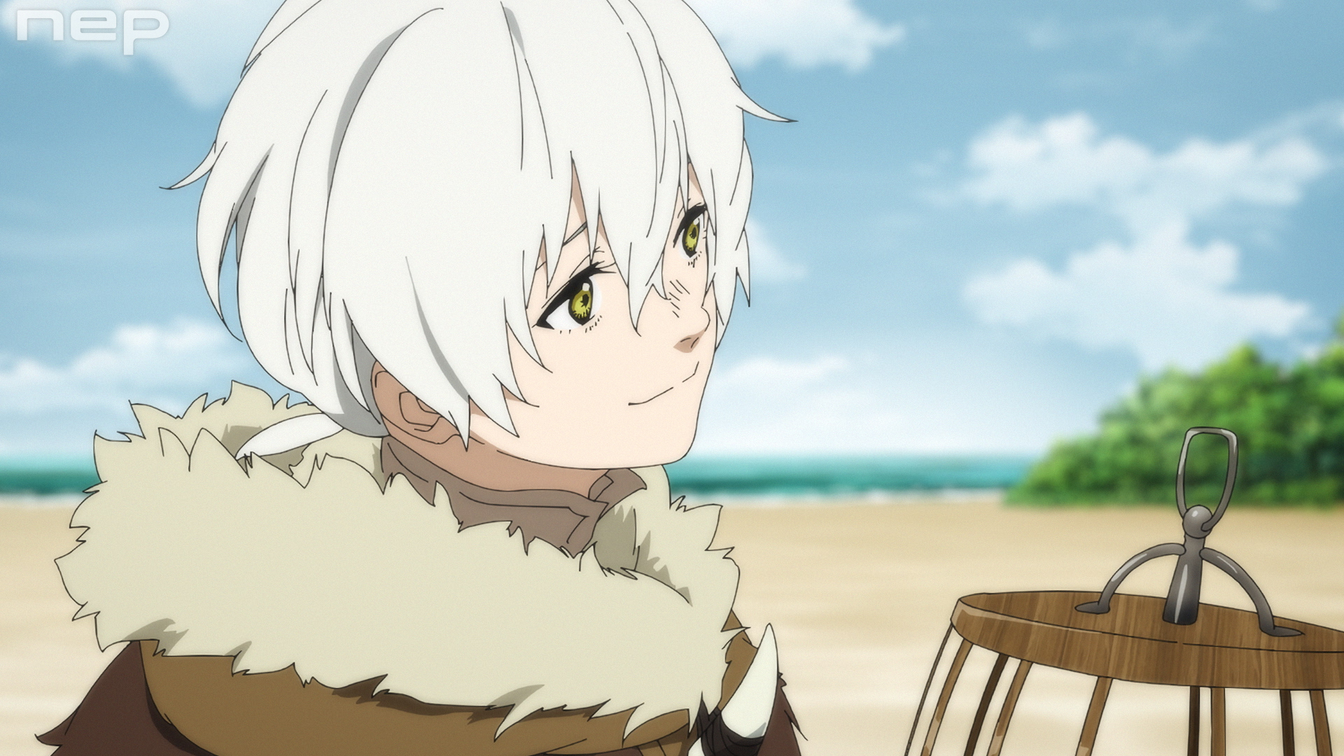 フシの紹介画像