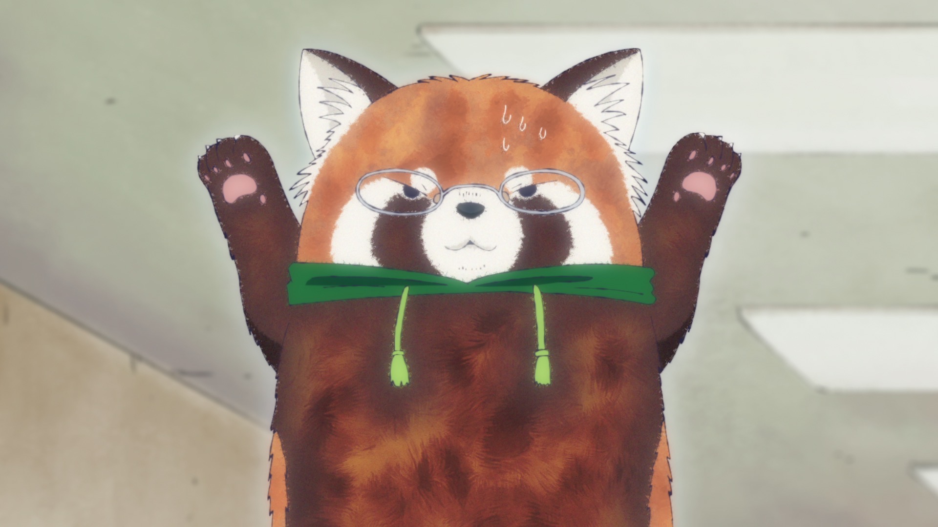 マギーくんの紹介画像